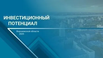 Инвестиционный потенциал Воронежской области